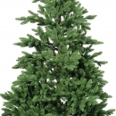    Rossland Fir 210 
