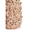  Mariposa ������������ ���� �17�� x 26�� 