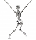  ����������� �������� ����� Skeleton 