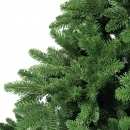    Rossland Fir 210 