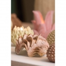  ������������ ������ 20�� x 12.5�� x 7.5�� 