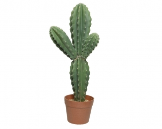 ������������ ������� ������ 107 ��