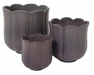 Blossom ������������ ������� �25� x 24�� 