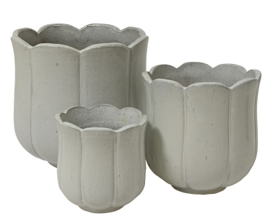 Blossom ������������ �������