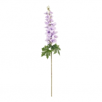   Delphinium 90