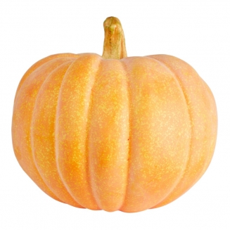 ������������ ���� �������� �26��