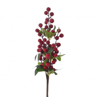     Berries 43