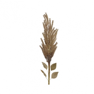   Pampas 13 x 94