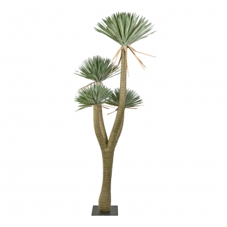 ������������ ������ Yucca 305��