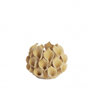 Soreja ������������ ��������� �10�� x 8��