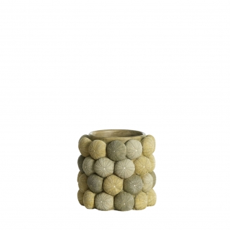 Sea Urchin ������������ ���� �20.5�� x 18��