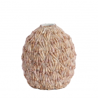 Shelly ������������ ���� �33�� x 37��