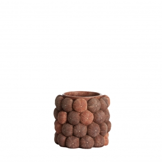 Sea Urchin ������������ ���� �20.5�� x 18��