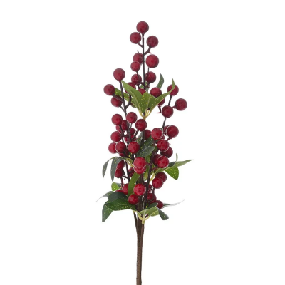     Berries 43