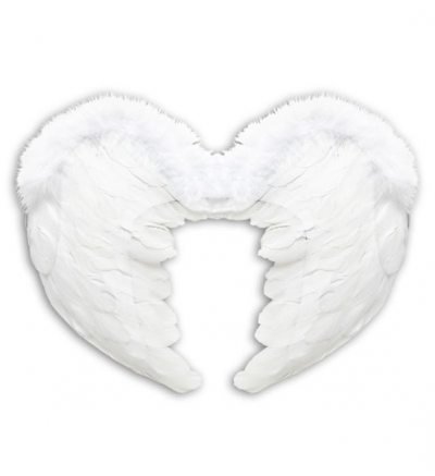 ����������� �������� ����� �������