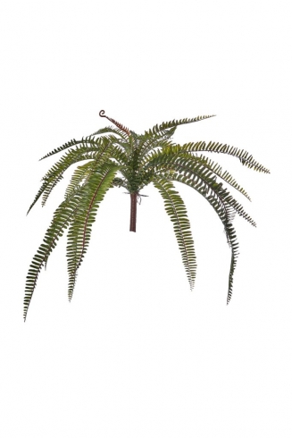 ������������ ���� ����� 32��