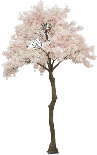 ������ �� ����� ��������� 340 ��