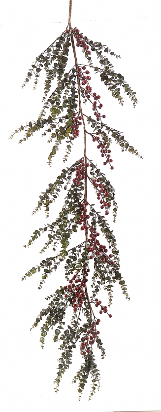    Berries 