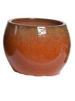   Terracotta 31 x 23