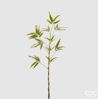  Bamboo 160