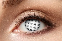 ������������ ����� ������ White Screen