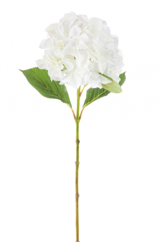 ������������ ���� �������� 69��