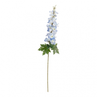   Delphinium 90