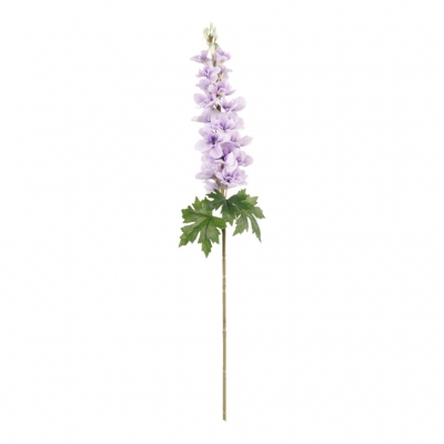   Delphinium 90