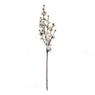 ������������ ����� Pesco 80 ��