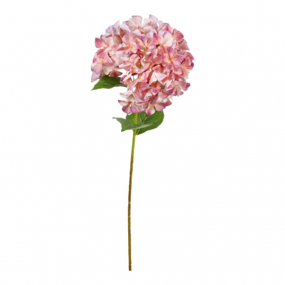    95