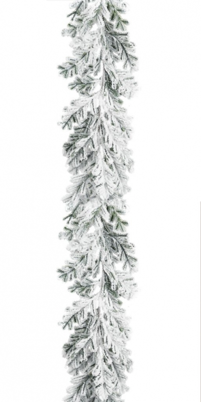    170 