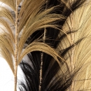    Bamboo 190 