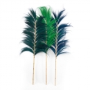    Bamboo 190 