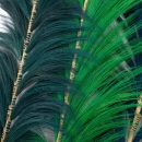    Bamboo 190 