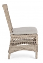  Jupiter   Rattan 48 x 63 