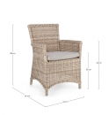  Jupiter   Rattan 64 x 66 