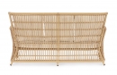  Adelma  2   158 x 86.5 