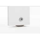  Konnor    200 . + 100 . x 110 