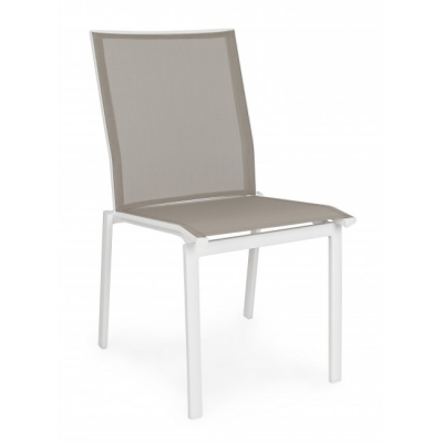 Cruise    50 . x 61