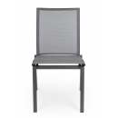  Cruise    50 . x 61 