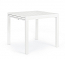  Pelagius    83 . + 83 . x 80 