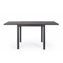  Pelagius    83 . + 83 . x 80 