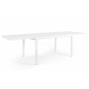  Pelagius    135 . + 135 . x 90 