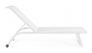  Taylor   182 x 70 