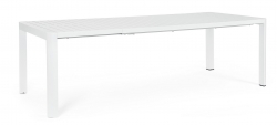  Kiplin     180-240. x 100. 