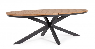 Zelmar   218 x 115