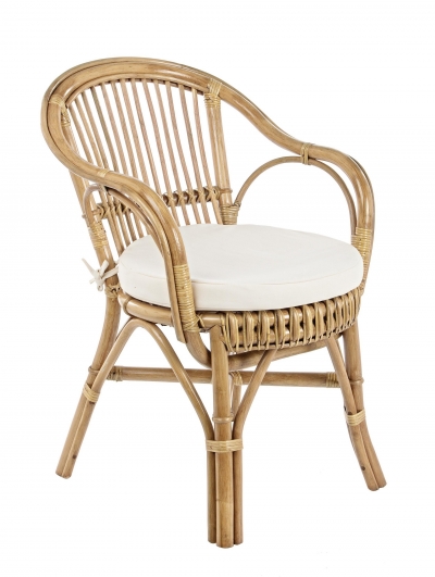 Barina   Bamboo