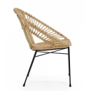  Tolima   Bamboo 58 . x 73 