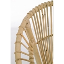  Tolima   Bamboo 58 . x 73 