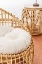  Camalote    Bamboo  45 